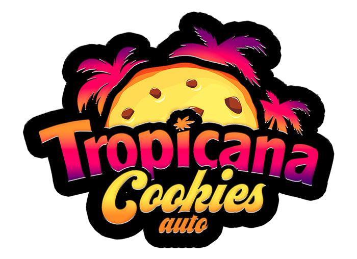 420 Fast Buds Cannabissamen - Tropicana Cookies Auto