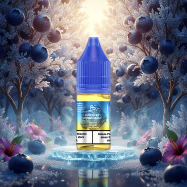 10x RandM Liquid - Blueberry Hibiscus