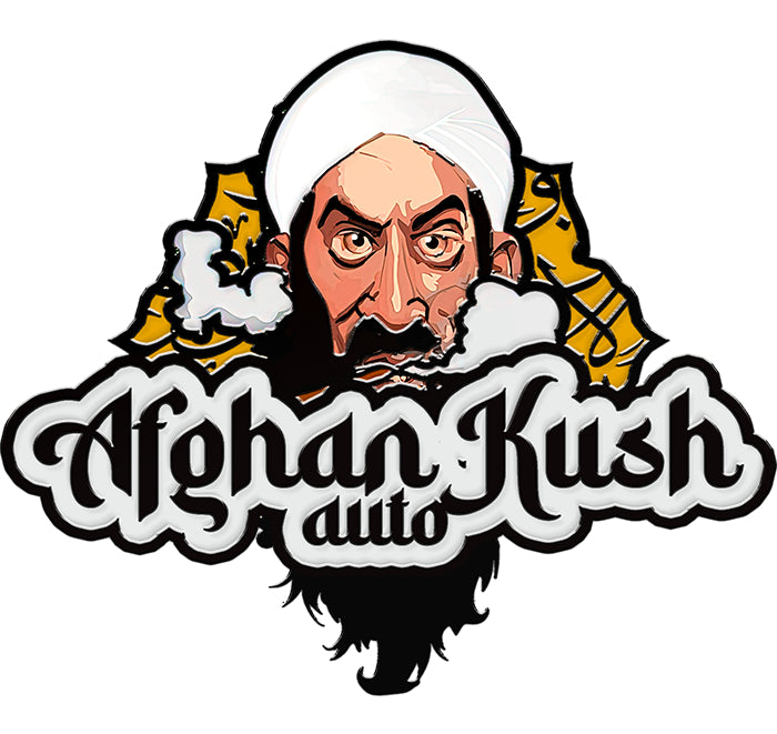 420 Fast Buds Cannabissamen - Afghan Kush Auto