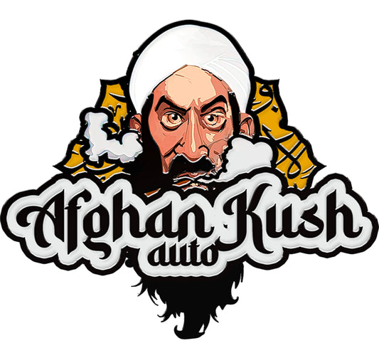 420 Fast Buds Cannabissamen - Afghan Kush Auto