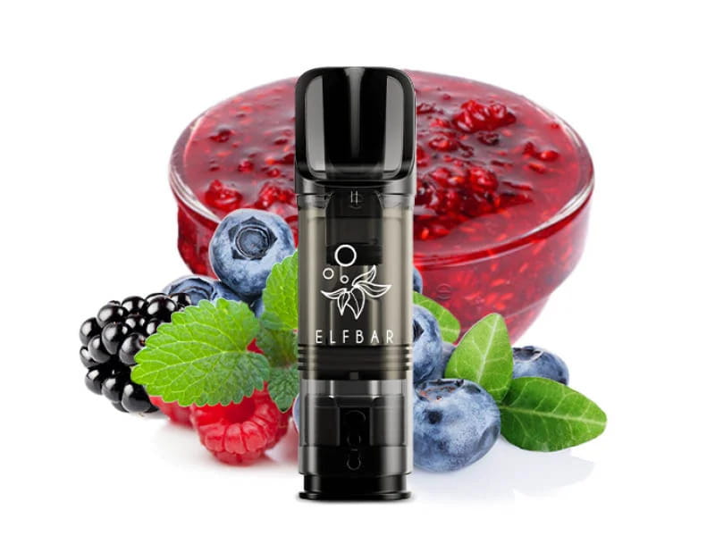 Elfbar Elfa - POD - Blueberry Snoow 2% Nikotin 600 Züge (2 Pods)